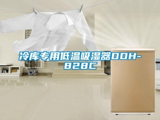 企業(yè)新聞冷庫專用低溫吸濕器DDH-828C