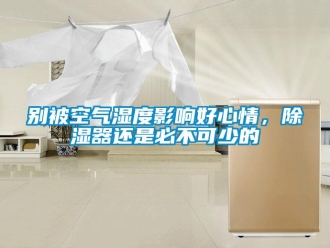 企業新聞別被空氣濕度影響好心情，除濕器還是必不可少的