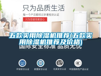 企業(yè)新聞五款實用除濕機推薦(五款實用除濕機推薦及價格)