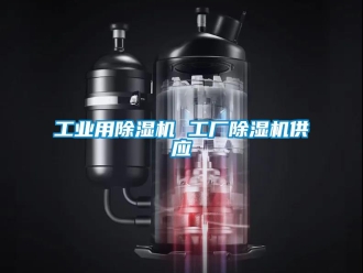 常見問(wèn)題工業(yè)用除濕機(jī) 工廠除濕機(jī)供應(yīng)