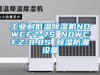常見問題工業(yè)耐低溫除濕機NDWCFZ-7S NDWCFZ-8.8S 除濕防潮設備