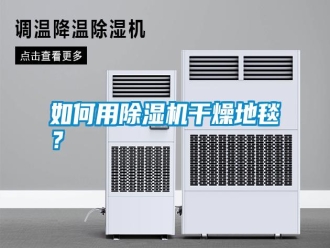 常見問題如何用除濕機干燥地毯？