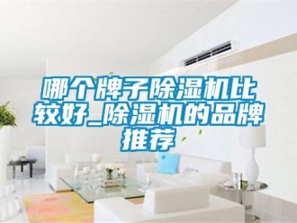 企業(yè)新聞哪個牌子除濕機(jī)比較好_除濕機(jī)的品牌推薦