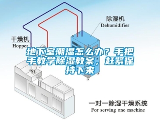 企業新聞地下室潮濕怎么辦？手把手教學除濕教案，趕緊保持下來
