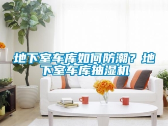 企業(yè)新聞地下室車庫(kù)如何防潮？地下室車庫(kù)抽濕機(jī)