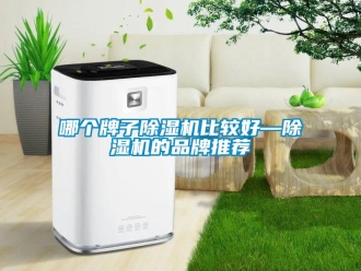 企業(yè)新聞哪個牌子除濕機(jī)比較好—除濕機(jī)的品牌推薦