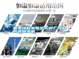 常見(jiàn)問(wèn)題夏季飼料發(fā)霉怎么辦？飼料防霉除濕機(jī)