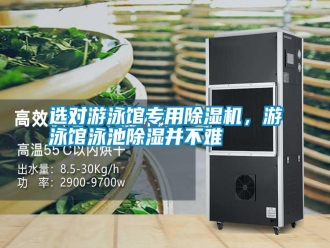 常見問題選對(duì)游泳館專用除濕機(jī)，游泳館泳池除濕并不難
