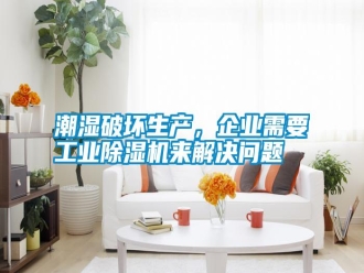 知識百科潮濕破壞生產(chǎn)，企業(yè)需要工業(yè)除濕機來解決問題