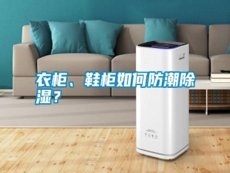 常見問題衣柜、鞋柜如何防潮除濕？