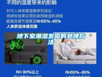 企業新聞地下室潮濕發霉的處理方法