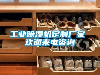 企業(yè)新聞工業(yè)除濕機(jī)定制廠家 歡迎來(lái)電咨詢