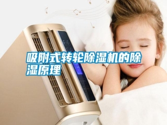 知識百科吸附式轉(zhuǎn)輪除濕機(jī)的除濕原理