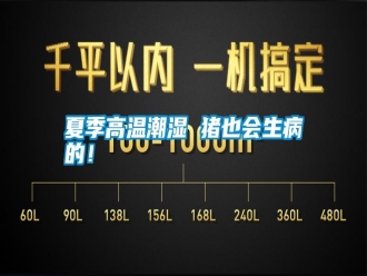 常見(jiàn)問(wèn)題夏季高溫潮濕 豬也會(huì)生病的！