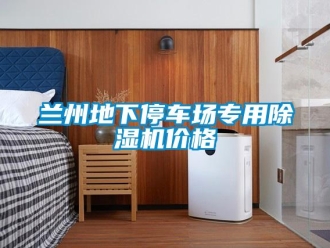 企業(yè)新聞蘭州地下停車場專用除濕機價格