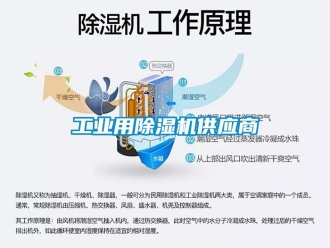 常見問(wèn)題工業(yè)用除濕機(jī)供應(yīng)商