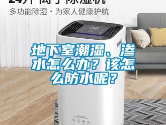 企業新聞地下室潮濕、滲水怎么辦？該怎么防水呢？