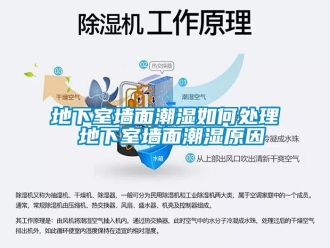 企業新聞地下室墻面潮濕如何處理 地下室墻面潮濕原因