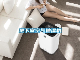 企業(yè)新聞地下室空氣抽濕機(jī)