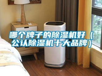 企業(yè)新聞哪個牌子的除濕機(jī)好（公認(rèn)除濕機(jī)十大品牌）