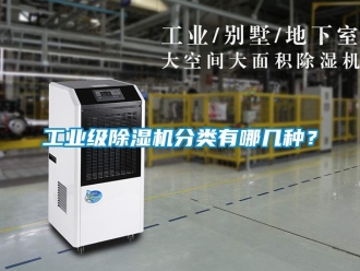 常見問題工業(yè)級除濕機分類有哪幾種？