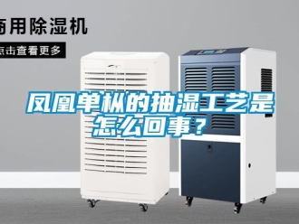 企業新聞鳳凰單樅的抽濕工藝是怎么回事？