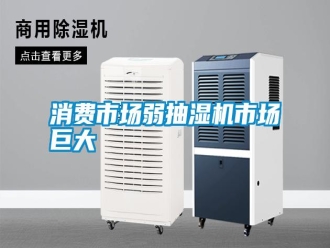 知識百科消費市場弱抽濕機市場巨大