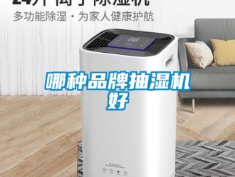 企業(yè)新聞哪種品牌抽濕機(jī)好