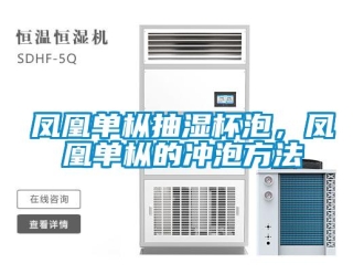 企業新聞鳳凰單樅抽濕杯泡，鳳凰單樅的沖泡方法