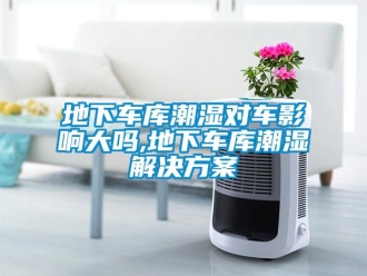 企業(yè)新聞地下車(chē)庫(kù)潮濕對(duì)車(chē)影響大嗎,地下車(chē)庫(kù)潮濕解決方案