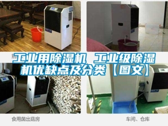 常見問(wèn)題工業(yè)用除濕機(jī) 工業(yè)級(jí)除濕機(jī)優(yōu)缺點(diǎn)及分類【圖文】