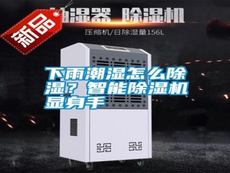 知識(shí)百科下雨潮濕怎么除濕？智能除濕機(jī)顯身手