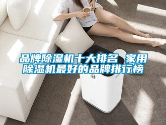 企業(yè)新聞品牌除濕機(jī)十大排名 家用除濕機(jī)最好的品牌排行榜