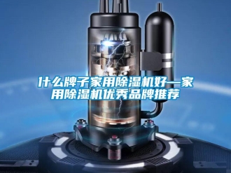 企業(yè)新聞什么牌子家用除濕機(jī)好—家用除濕機(jī)優(yōu)秀品牌推薦