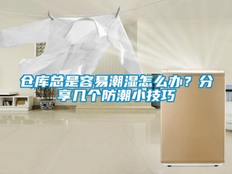 企業新聞倉庫總是容易潮濕怎么辦？分享幾個防潮小技巧