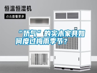 常見問題“嬌氣”的實木家具如何度過梅雨季節(jié)？