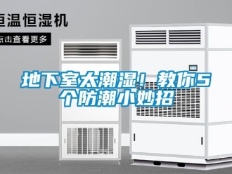 企業新聞地下室太潮濕！教你5個防潮小妙招