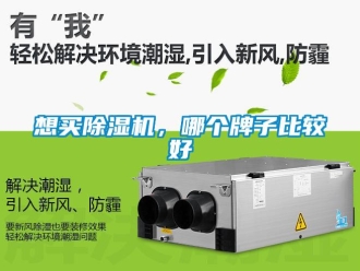 行業(yè)新聞想買除濕機(jī)，哪個(gè)牌子比較好
