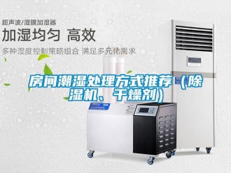 行業(yè)新聞房間潮濕處理方式推薦（除濕機(jī)、干燥劑）