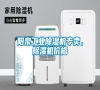 陽泉工業除濕機專賣，除濕機價格