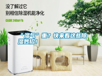 常見問題“濕氣”重？快來看這些除濕妙招！