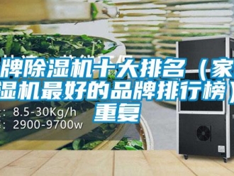 企業(yè)新聞品牌除濕機(jī)十大排名（家用除濕機(jī)最好的品牌排行榜）_重復(fù)