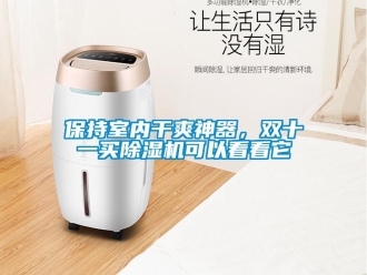 企業新聞保持室內干爽神器，雙十一買除濕機可以看看它