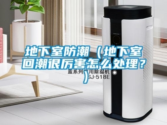 企業(yè)新聞地下室防潮（地下室回潮很厲害怎么處理？）