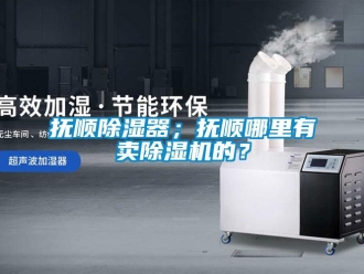 行業(yè)新聞?chuàng)犴槼凉衿鳎粨犴樐睦镉匈u除濕機的？