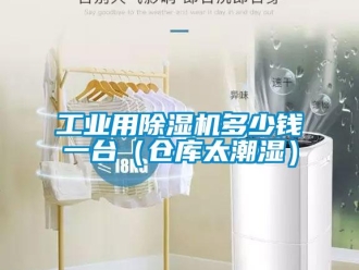 常見問(wèn)題工業(yè)用除濕機(jī)多少錢一臺(tái)（倉(cāng)庫(kù)太潮濕）