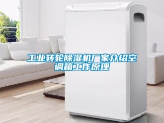 企業(yè)新聞工業(yè)轉輪除濕機廠家介紹空調箱工作原理