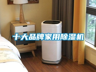 企業(yè)新聞十大品牌家用除濕機