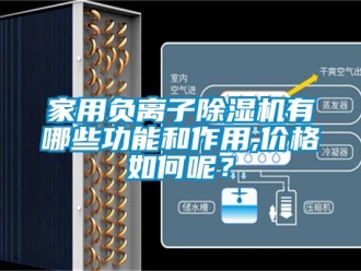 企業(yè)新聞家用負(fù)離子除濕機(jī)有哪些功能和作用,價(jià)格如何呢？