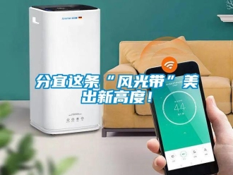 企業新聞分宜這條“風光帶”美出新高度！